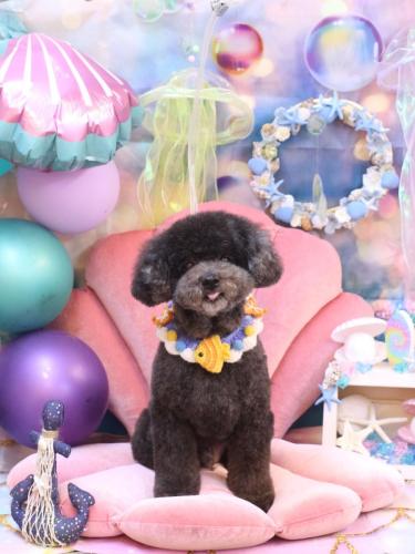 20240820コタロウくん